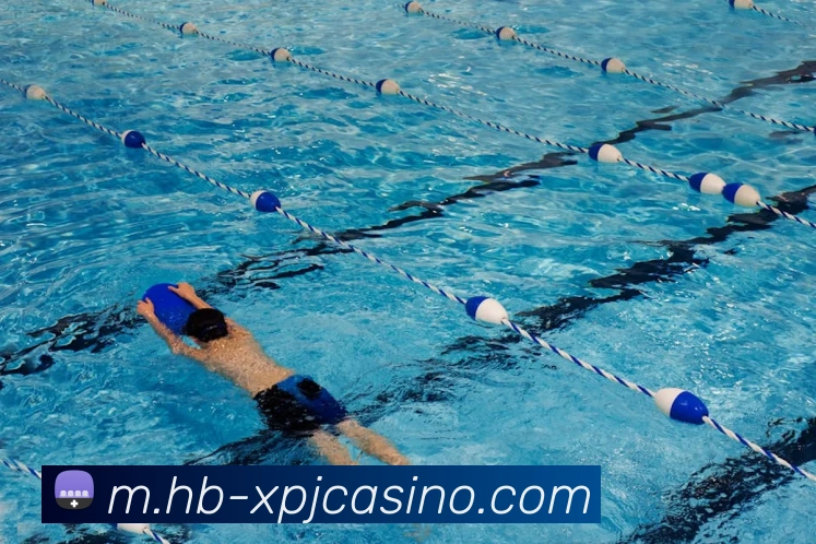 新葡京娱乐平台生态图