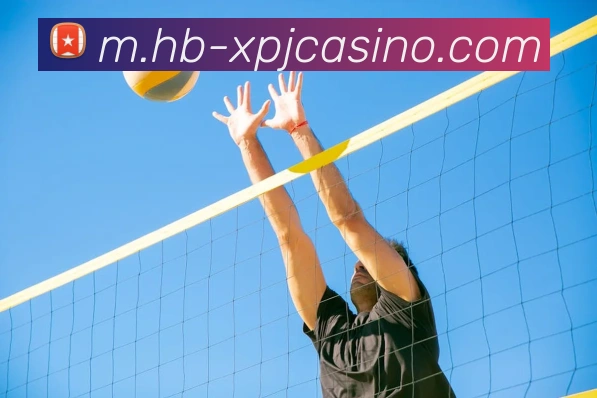 新葡京娱乐全站App